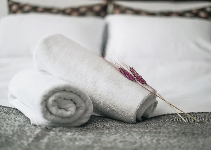 فندق Pandan Karakoy اسطنبول